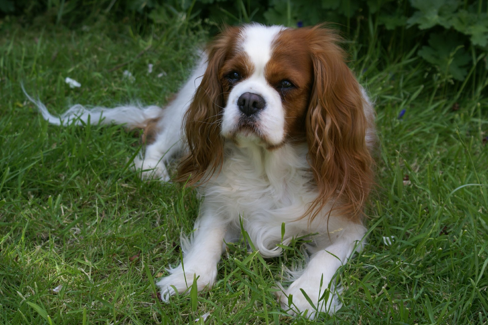 Ellile at 4 years old