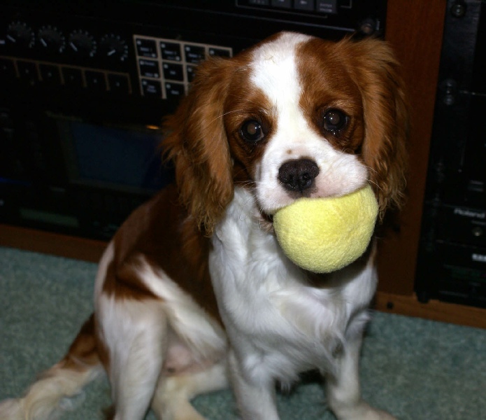 Ellie discovering toys