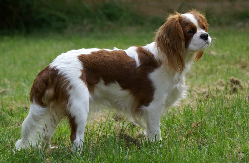 Ellie what's that over there