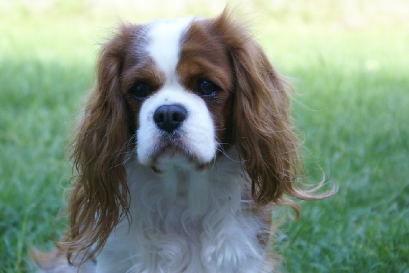 Ellie time for a pose