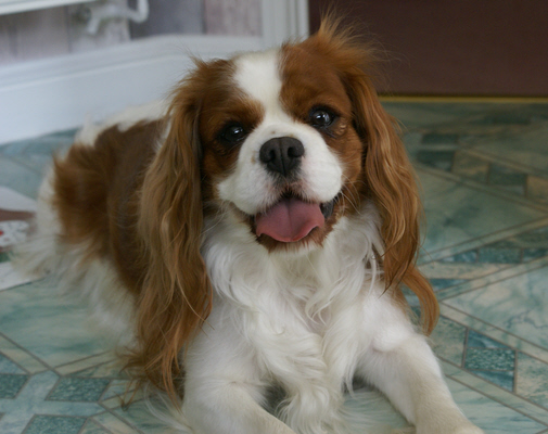 Ellie at 3 years old