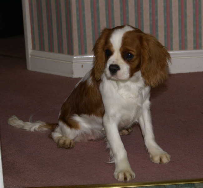 A young Ellie at 5 months