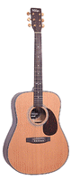 Acoustic Guitars